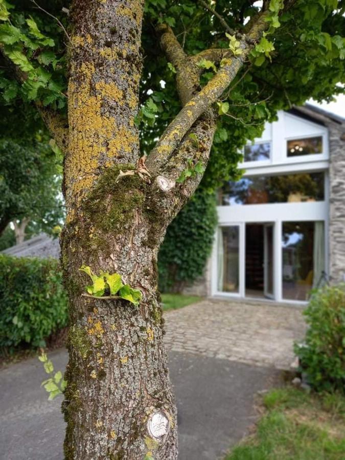 Villa Li Gurni Houffalize Exterior foto